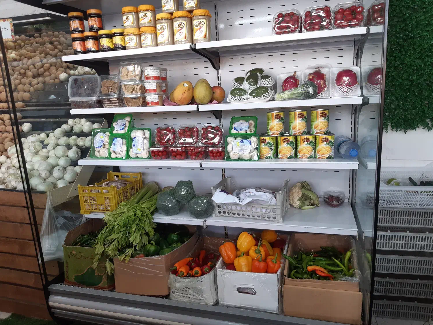 یخچال پرده هوا|فروشگاه و مغازه|رشت, دیلمان|دیوار