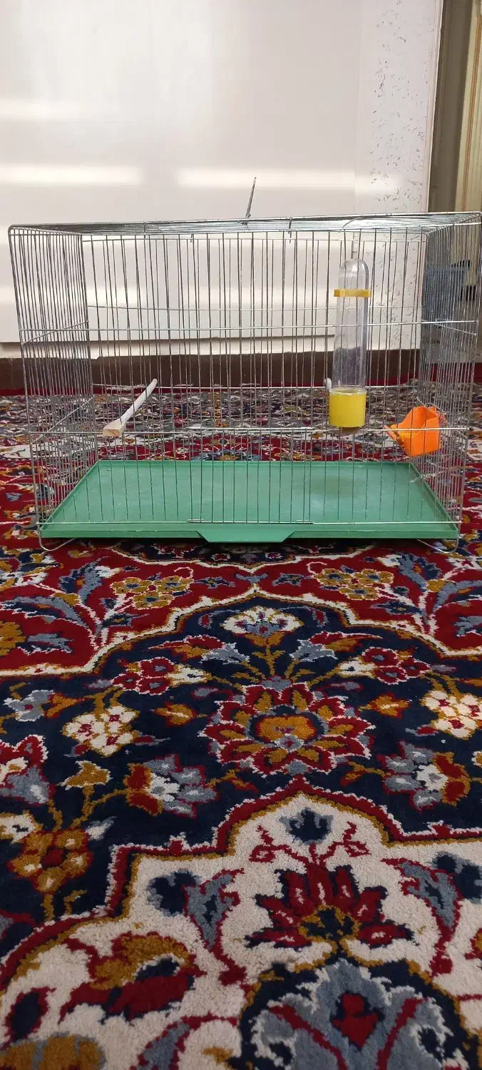 قفسه قناری|لوازم جانبی حیوانات|کرج, عظیمیه|دیوار