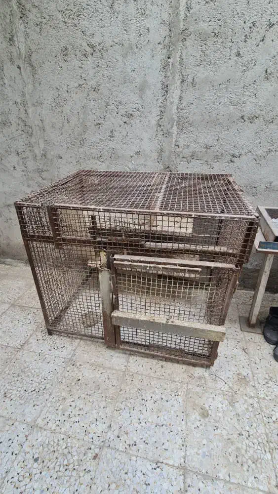 قفس|لوازم جانبی حیوانات|بندرعباس, |دیوار