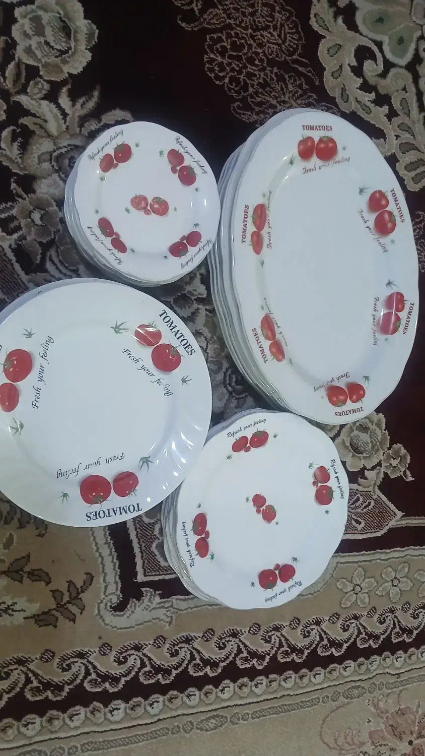 ظروف چینی|ظروف سرو و پذیرایی|بندر ماهشهر, |دیوار