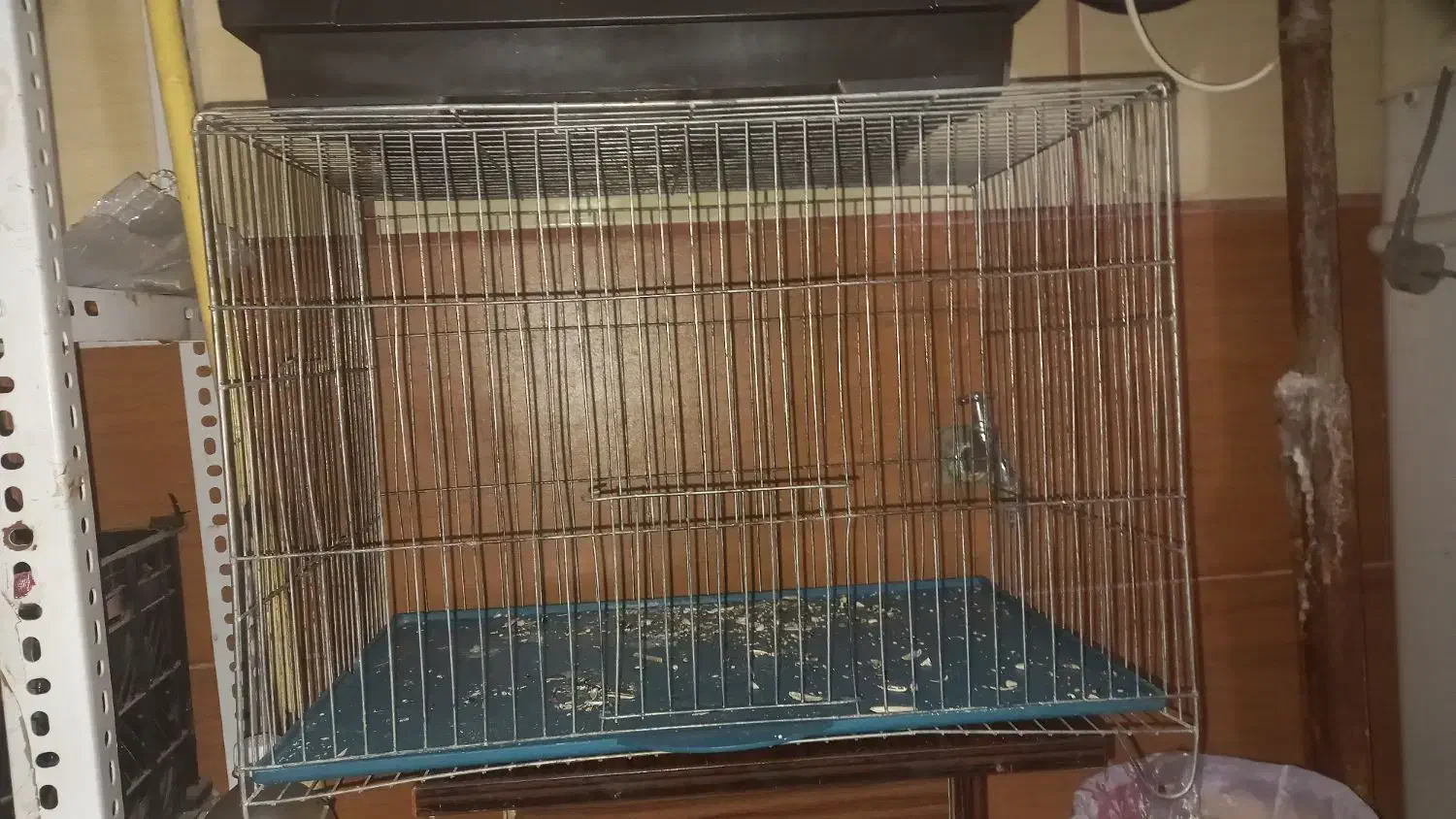 قفس|لوازم جانبی حیوانات|شیراز, فرگاز|دیوار