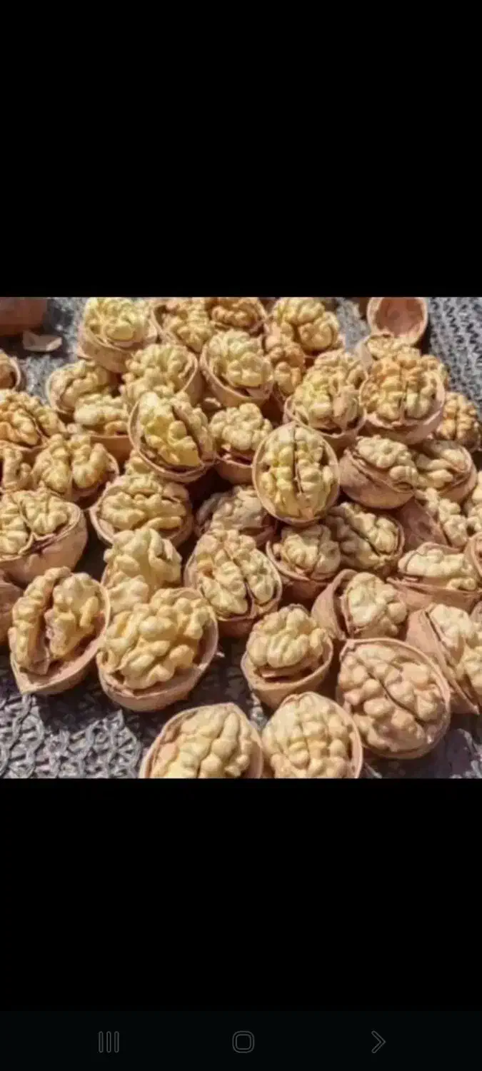 گردو کاغذی اعلا ایرانی درجه یک به صورت عمده و خرده|عمده‌فروشی|خمینی‌شهر, |دیوار