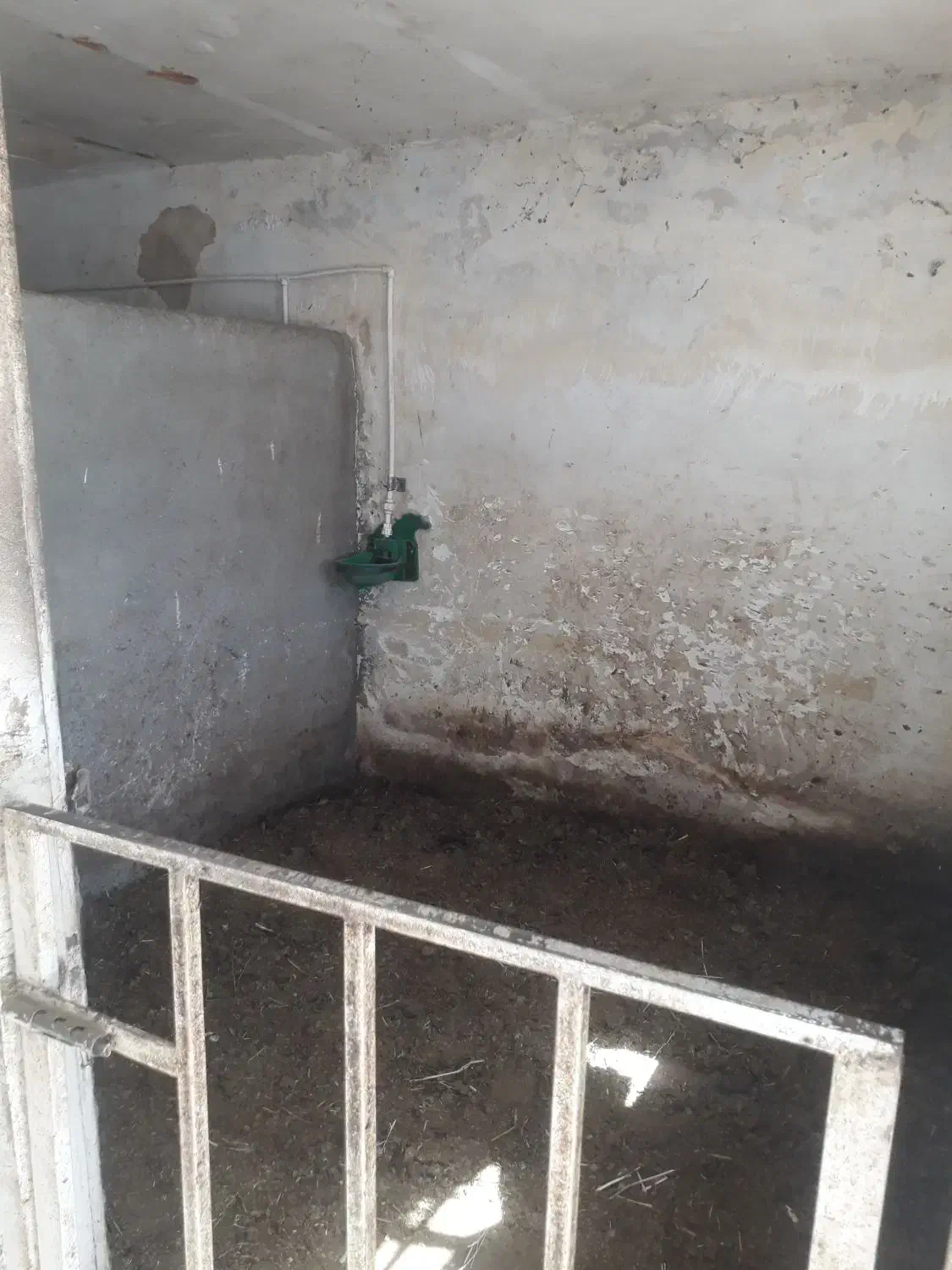 پانسیون اسب|اسب و تجهیزات اسبسواری|کرمانشاه, |دیوار