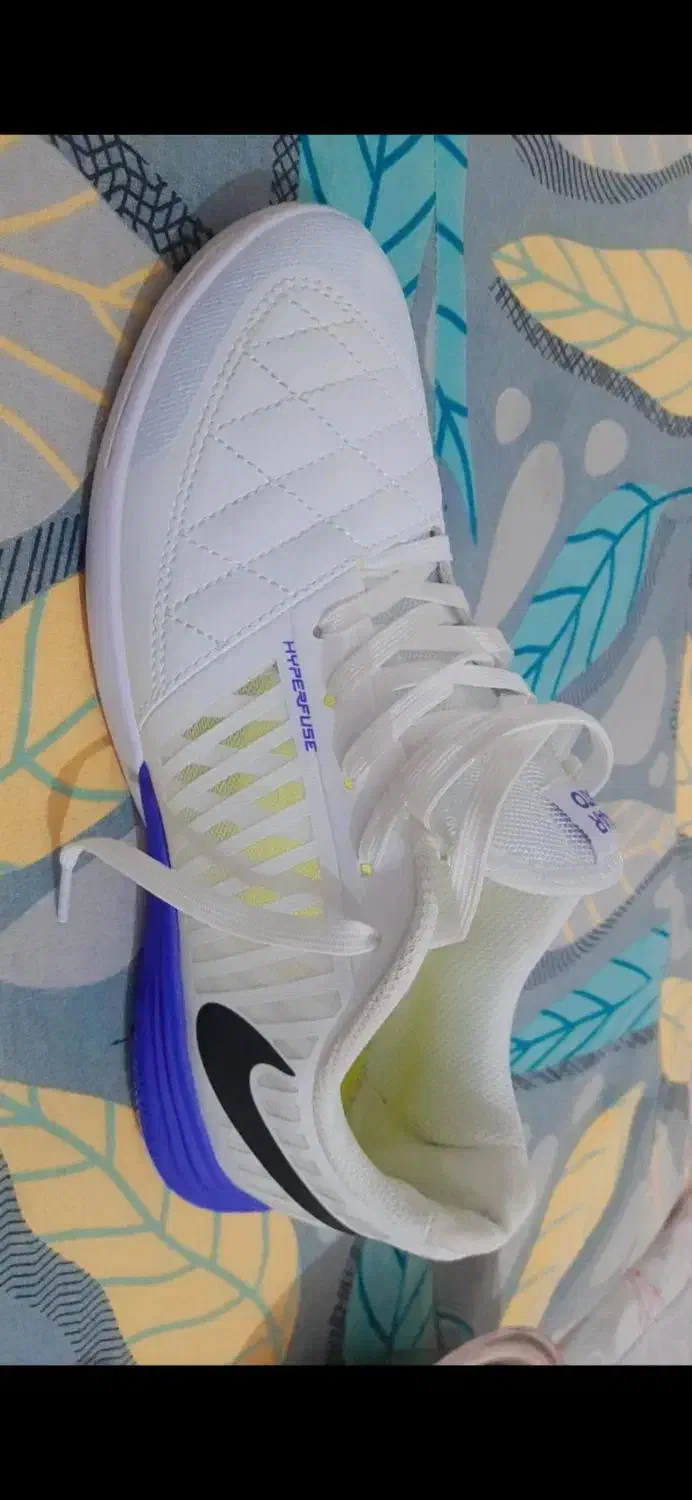 کفش سالنی لونارگتو|کیف، کفش، کمربند|فلاورجان, |دیوار