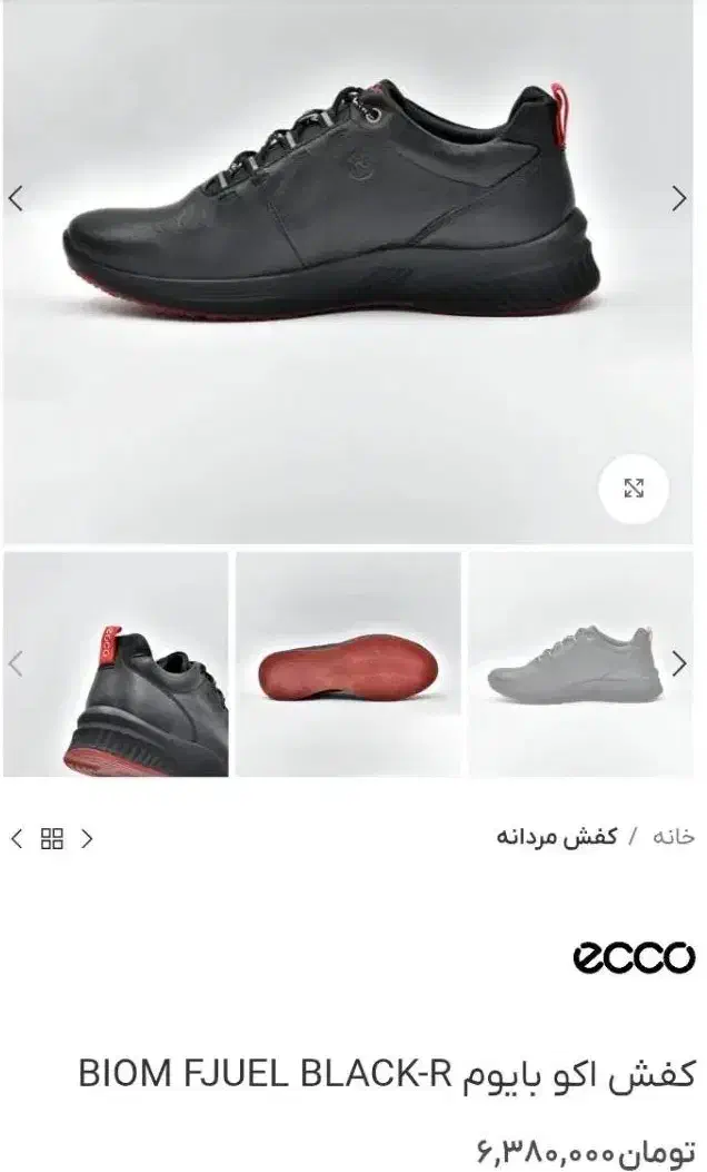 کفش اکو اصل اکبند|کیف، کفش، کمربند|تهران, امیریه|دیوار
