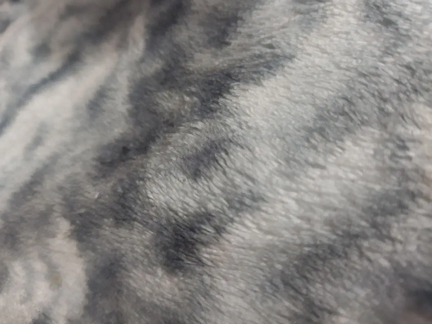 مبلمان راحتی|مبلمان خانگی و میز عسلی|قم, نخودی|دیوار