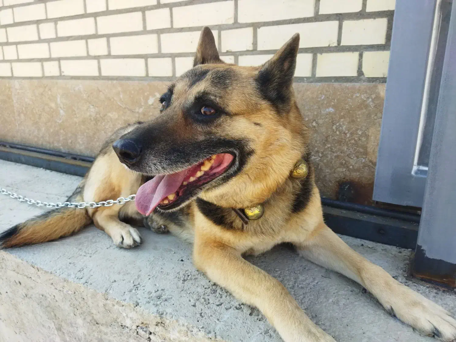 کمک و راهنمایی|فعالیت داوطلبانه|فولادشهر, مسکن مهر فولادشهر|دیوار