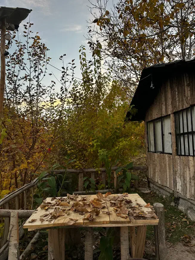 کلبه باغ سوییت|اجارهٔ کوتاهمدت ویلا و باغ|کرمانشاه, |دیوار