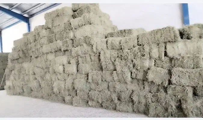 فروش یونجه و کاه به قیمت عمده|عمدهفروشی|اصفهان, قهجاورستان|دیوار