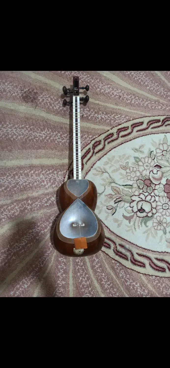 تاروسه‌تار|سازهای سنتی|شیراز, بعثت|دیوار