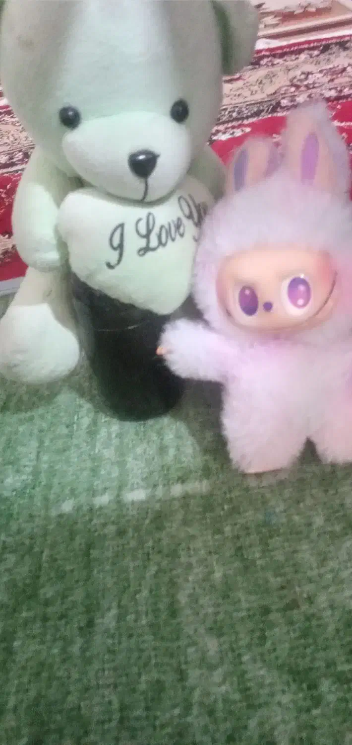 دوتا عروسک یکی خرسی و دیگری لبوبو|اسباب‌بازی بچه|زابل, |دیوار