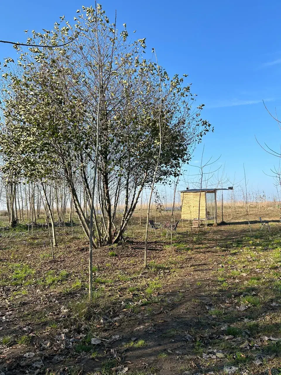 آرامش در دل طبیعت|فروش خانه و ویلا|آذرشهر, |دیوار