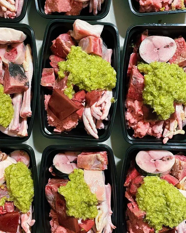 غذا خونگی گربه و سگ|لوازم جانبی حیوانات|شیراز, سرو|دیوار