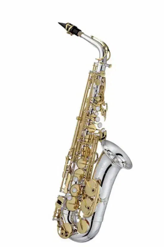 ساکسیفون ژوپیتر آک بند|سازهای بادی|اصفهان, باغ دریاچه|دیوار