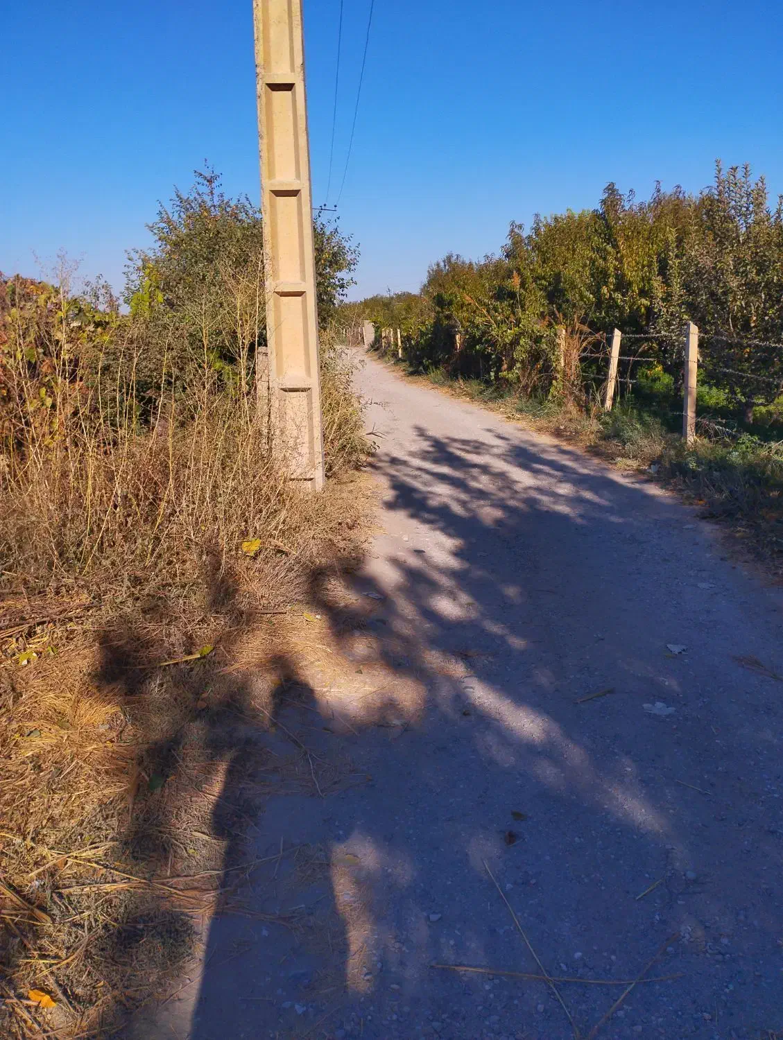 فروش باغ|فروش دفتر صنعتی، کشاورزی، تجاری|ارومیه, |دیوار