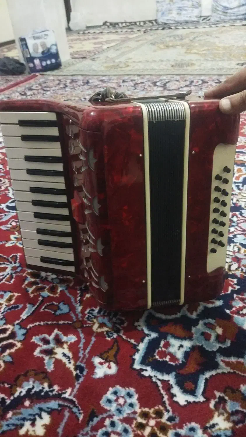 اکاردعون بایلی|پیانو، کیبورد، آکاردئون|تبریز, |دیوار