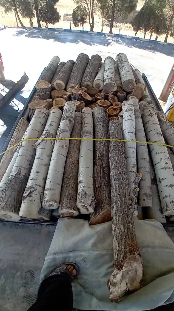 تولید کننده پالت چوبی نو بدون واسطه مستقیم|عمده‌فروشی|تهران, خانی آباد نو شمالی|دیوار