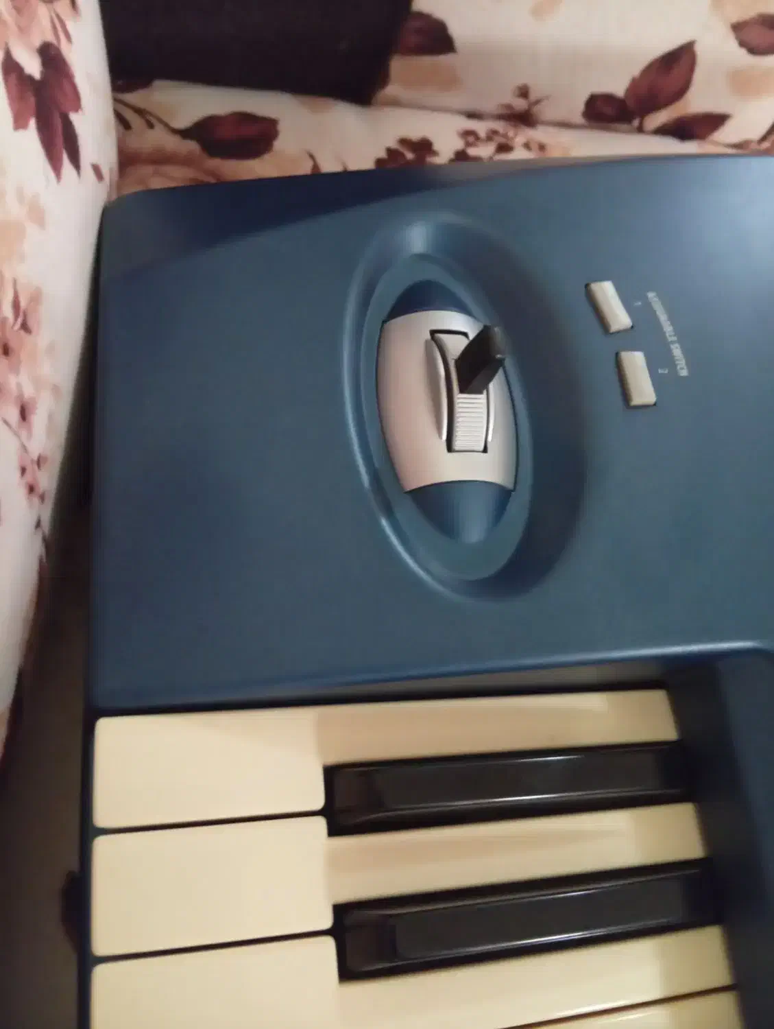 ارگ ۸۰۰|پیانو، کیبورد، آکاردئون|آستارا, |دیوار