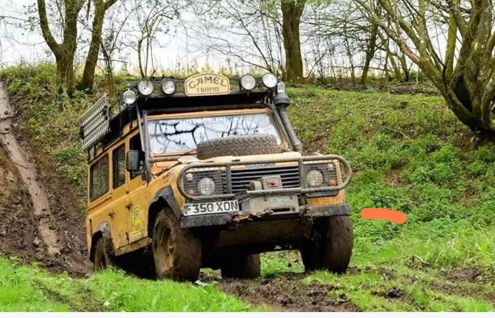 همسفر خوب و اهل طبیعت|فعالیت داوطلبانه|رشت, سعدی (تختی)|دیوار