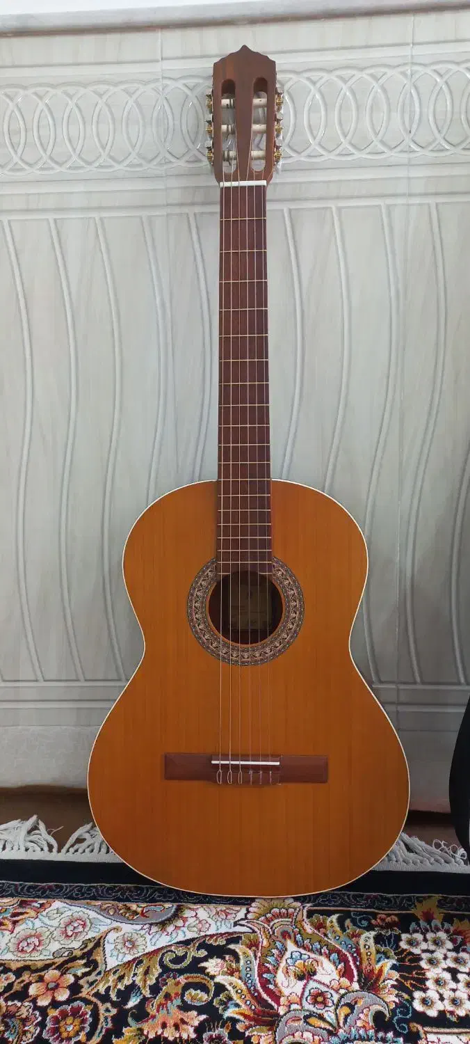 گیتار m5|گیتار، بیس، امپلیفایر|قم, نیروگاه|دیوار