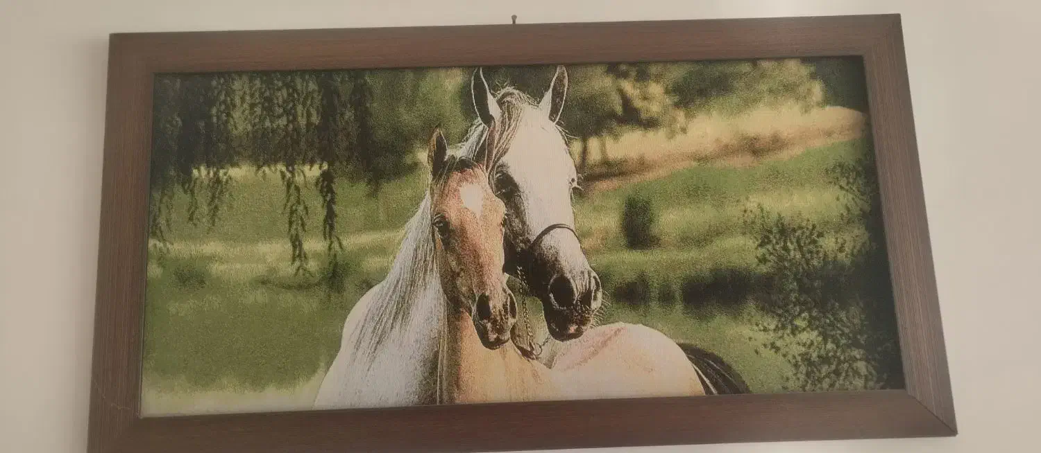 تابلو|تابلو، نقاشی، عکس|تربت‌حیدریه, ترمینال|دیوار