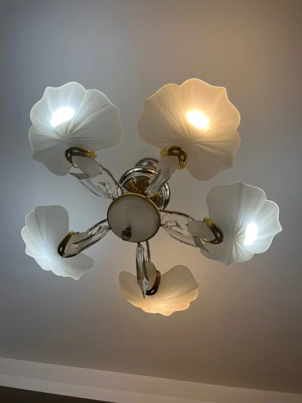 لوستر ۵شاخه صدفی|لوستر و چراغ آویز|تبریز, |دیوار