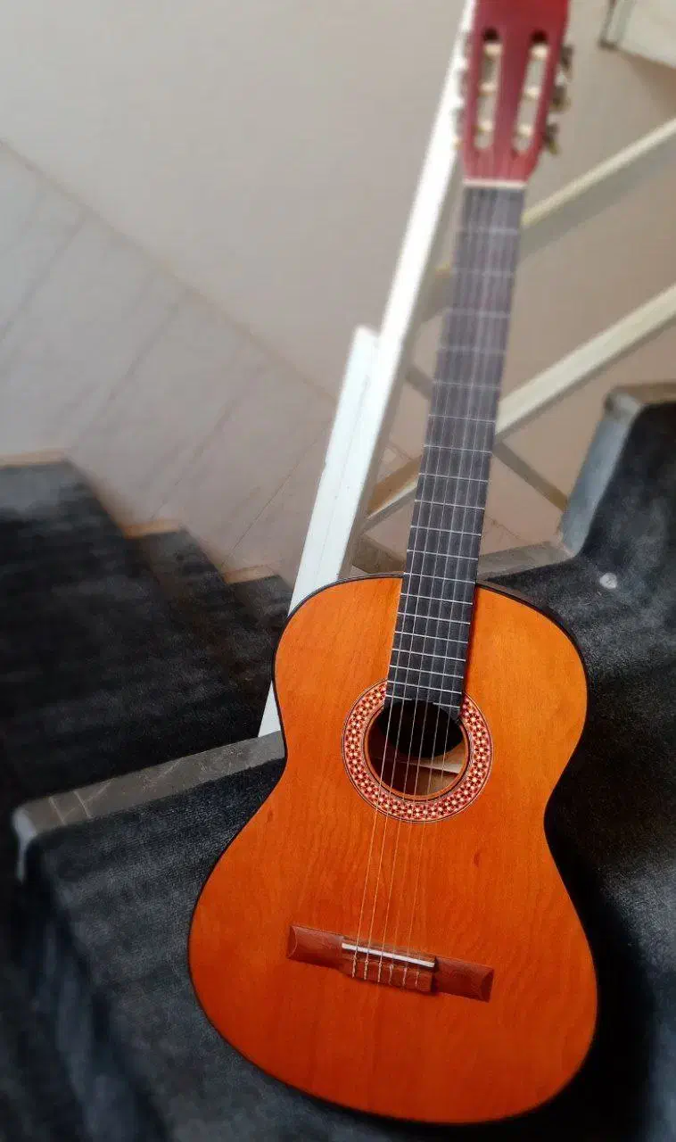 گیتار|گیتار، بیس، امپلیفایر|ابهر, |دیوار