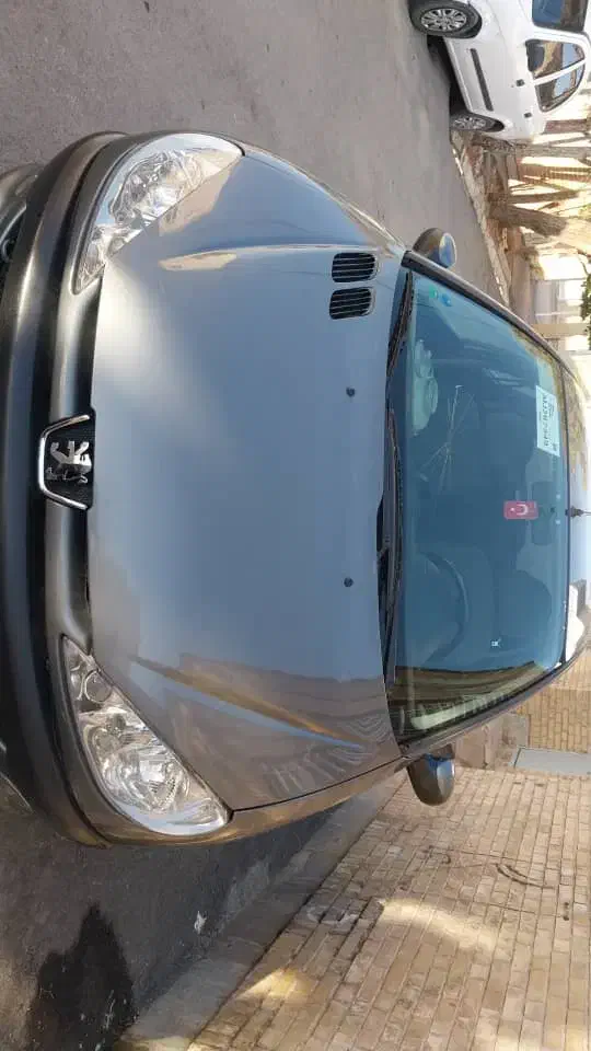 206تیپtu3|خودرو سواری و وانت|شیراز, میانرود|دیوار