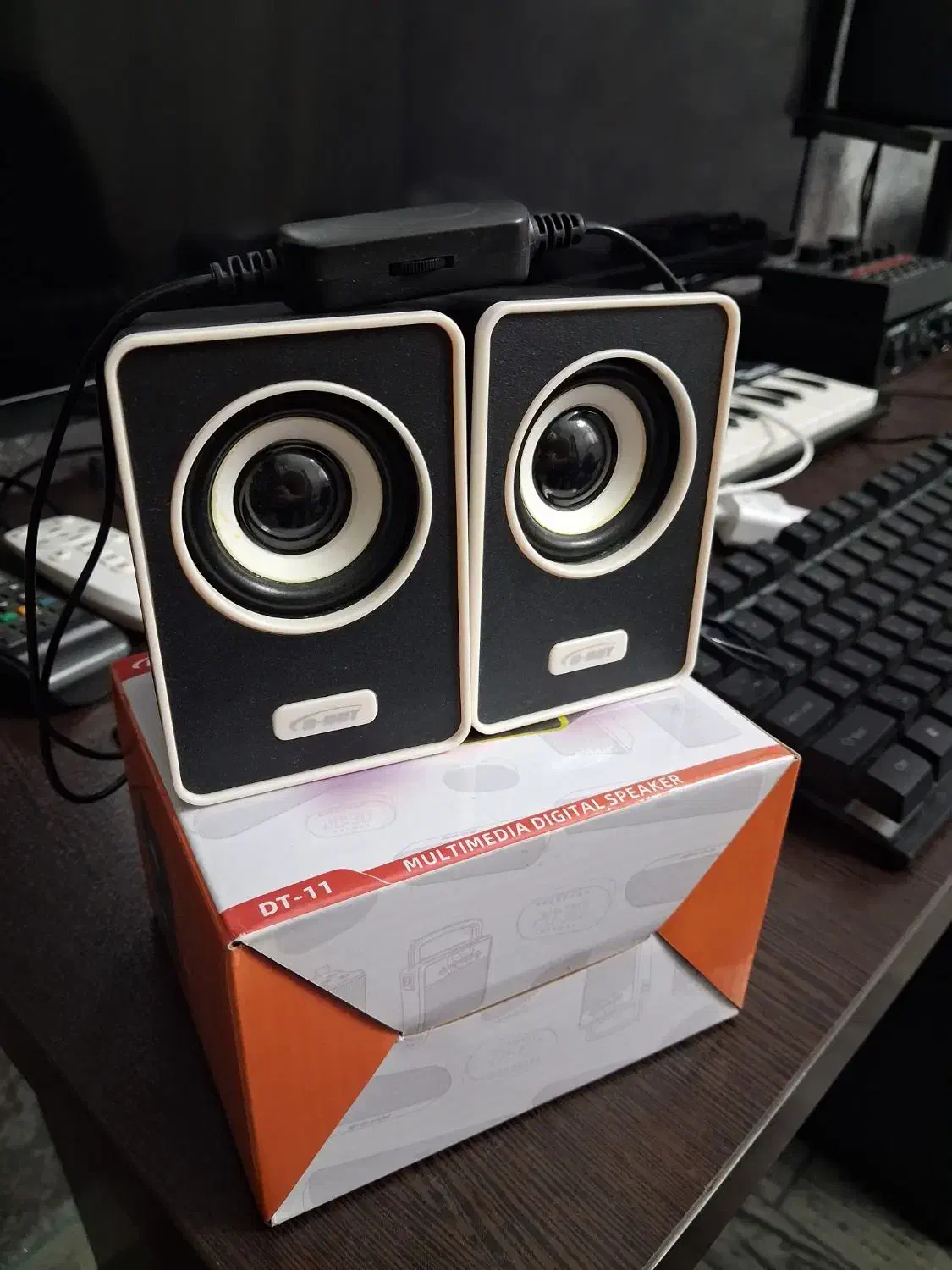 اسپیکر|سیستم صوتی خانگی|ساری, |دیوار