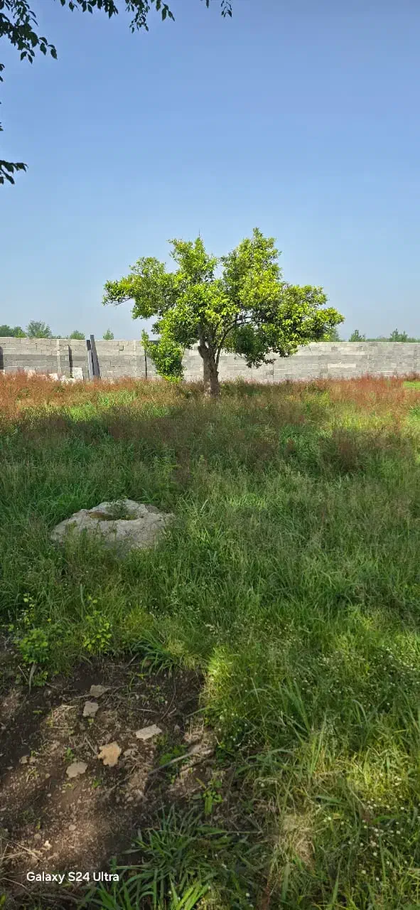 زمین نهصد و هفتاد متری|فروش زمین و ملک کلنگی|رشت, بازار|دیوار