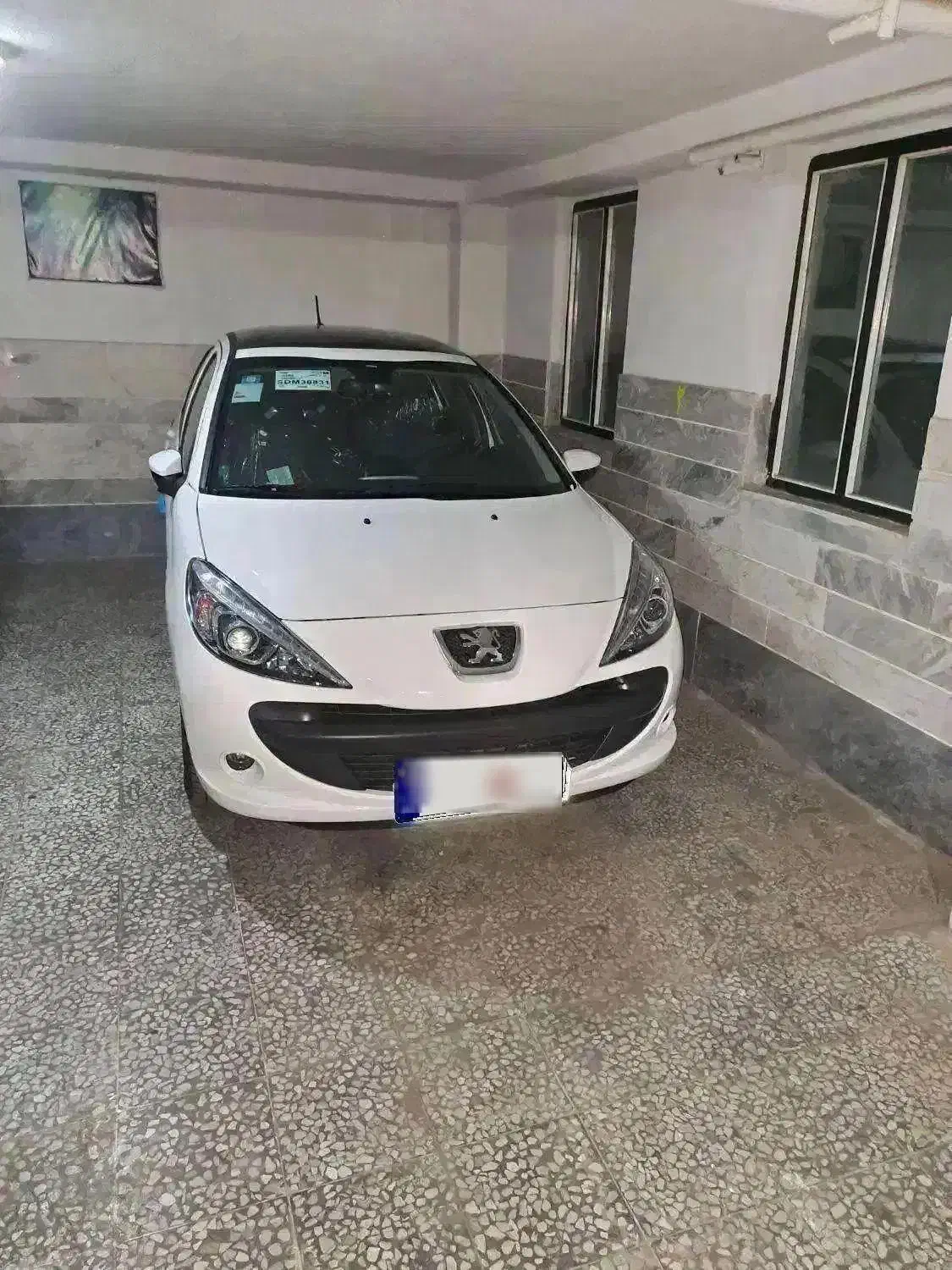 ۲۰۷ پانا|خودرو سواری و وانت|فردیس, داوری|دیوار