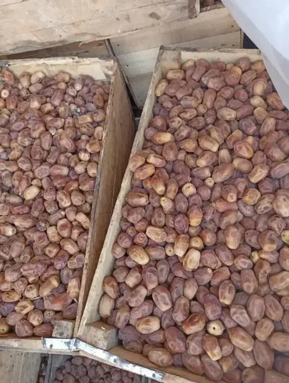 خرما زاهدی|خوردنی و آشامیدنی|اصفهان, شاه پسند|دیوار