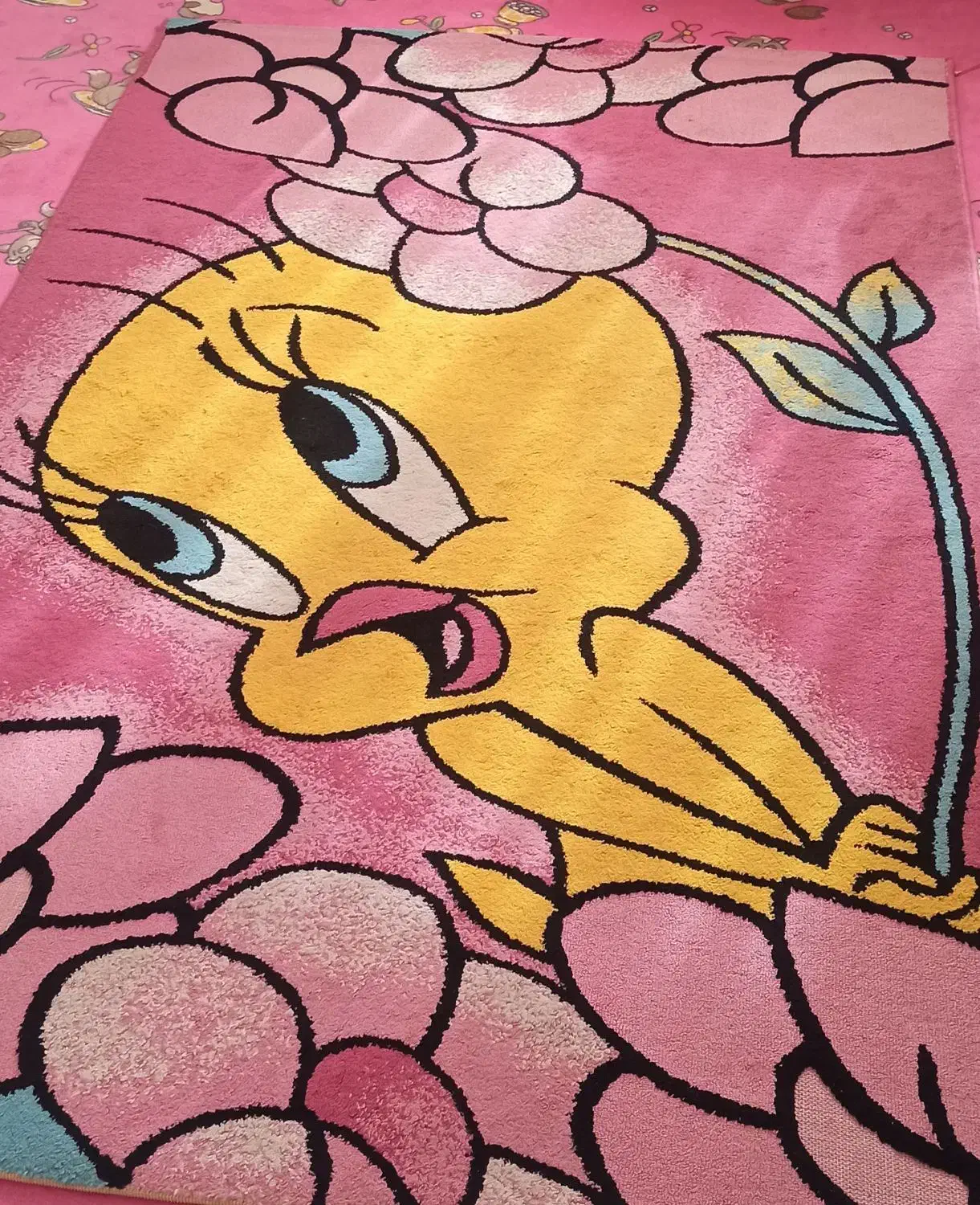 موکت وگلیم فرش|موکت|کرمانشاه, |دیوار