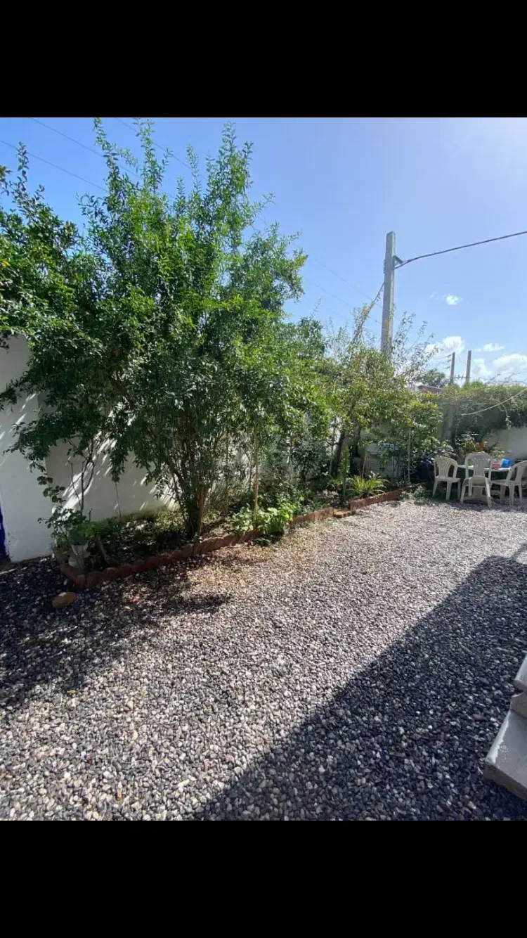 ویلا کلنگی ۳۲۰ متری شهرک قائم|فروش خانه و ویلا|بابلسر, |دیوار