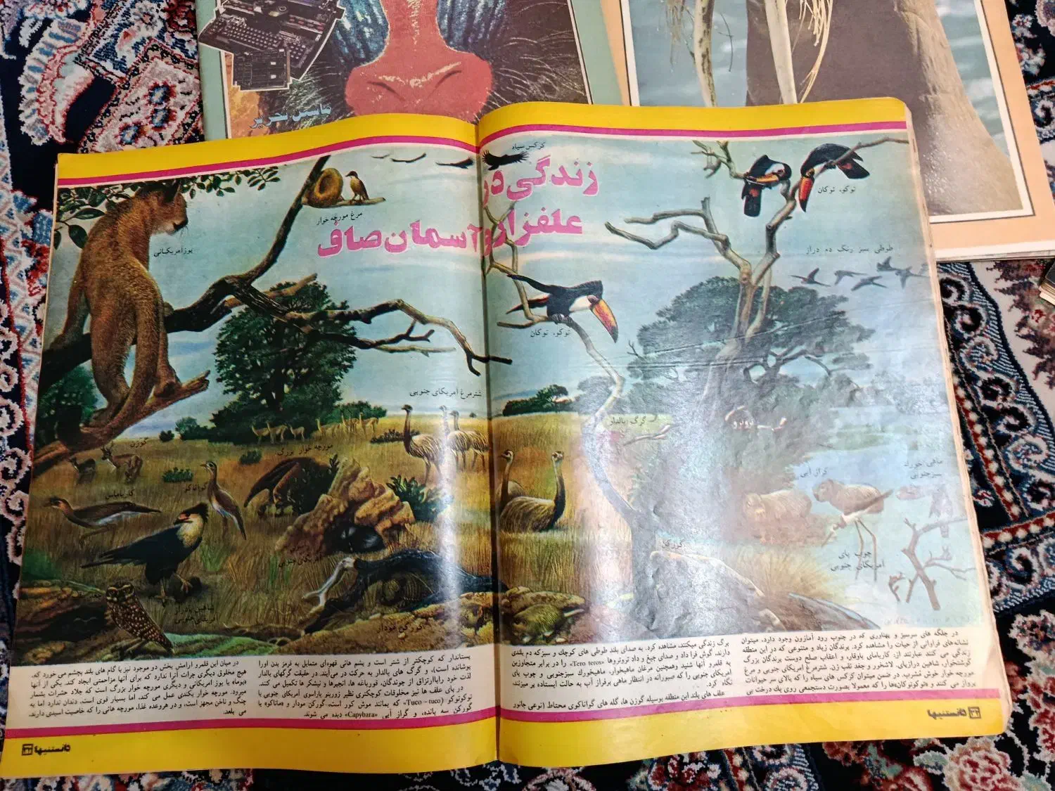 چندعددمجله خواندی...|مجلات|تهران, تاکسیرانی|دیوار