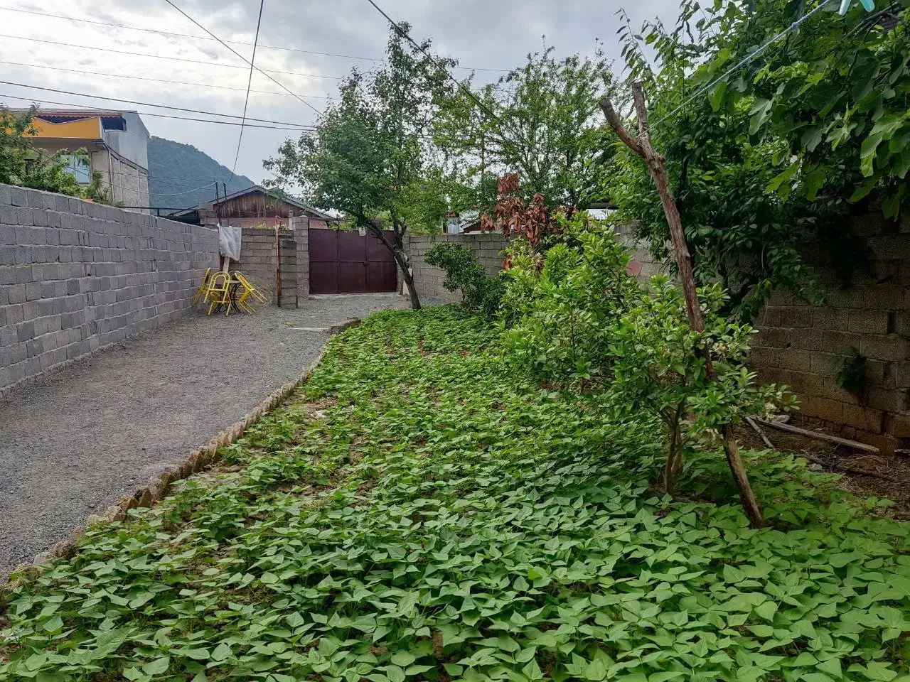 زمین برای مشارکت|مشارکت در ساخت املاک|لاهیجان, لیالستان|دیوار