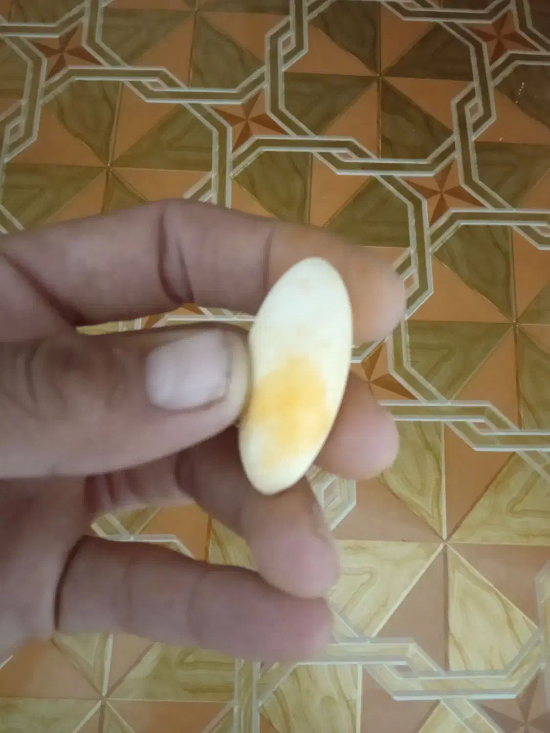 مهره|کلکسیون اشیاء عتیقه|جنگل, |دیوار