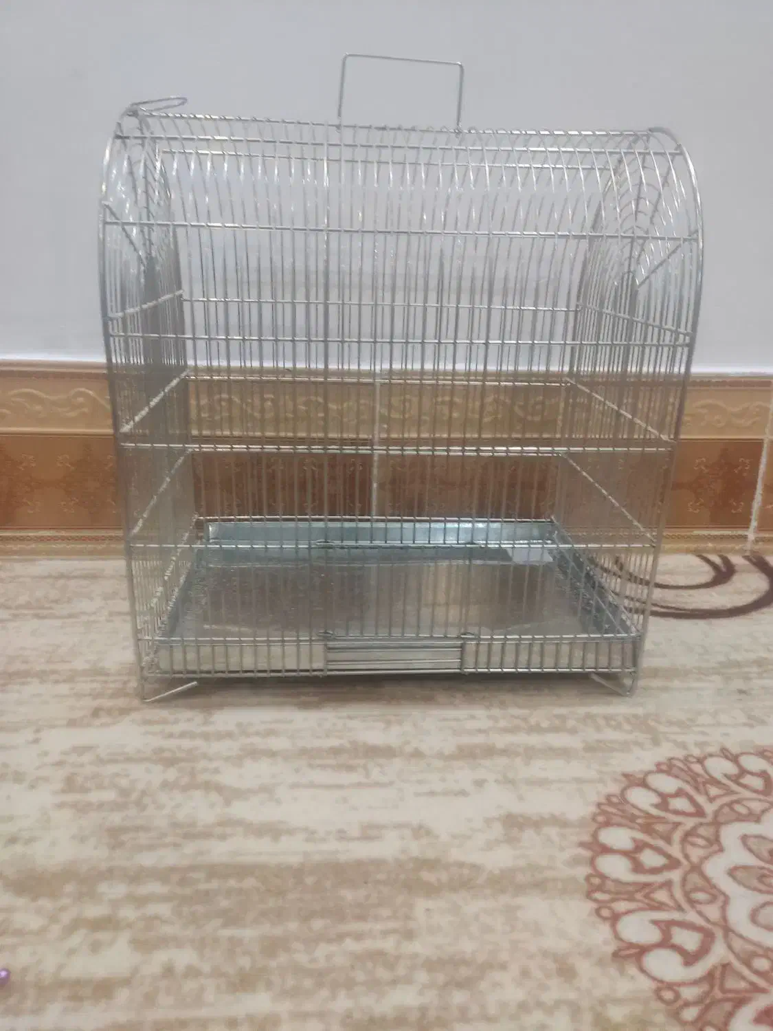 قفس سهره|لوازم جانبی حیوانات|بروجرد, |دیوار