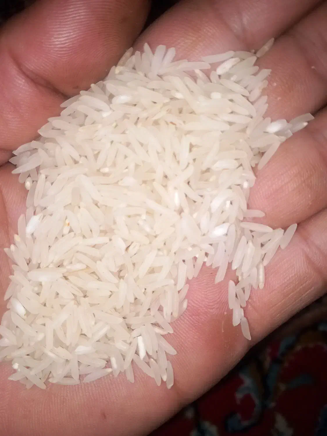 طارم|خوردنی و آشامیدنی|کردکوی, |دیوار