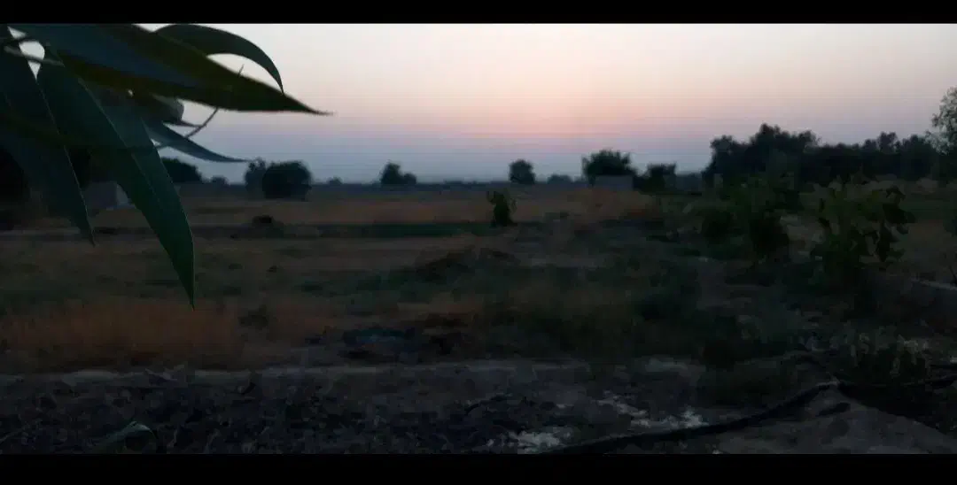 فروش زمین ۳۰۰ متری|فروش زمین و ملک کلنگی|شوشتر, |دیوار