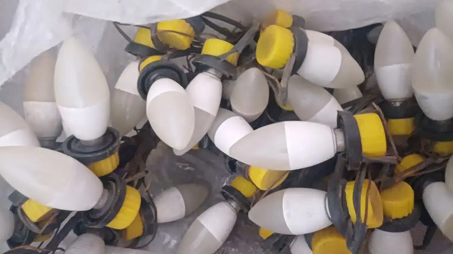 ریسه|ریسه و چراغ تزئینی|همدان, |دیوار