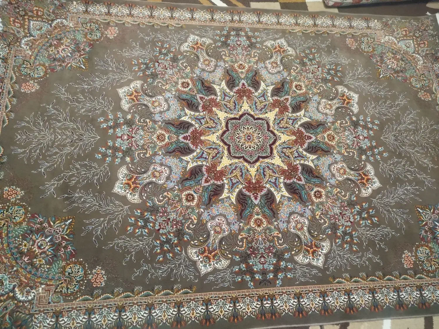 فرش نگین مشهد، ۶ متری، ۷۰۰ شانه، تراکم ۲۵۵۰|فرش|رشت, پل تالشان|دیوار