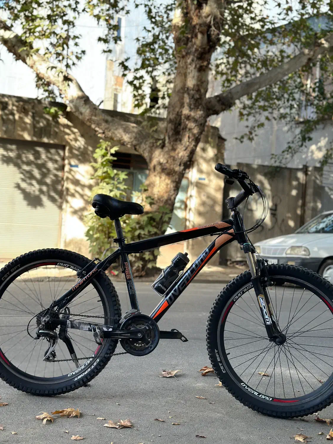 26 اورلرد درحد|دوچرخه، اسکیت، اسکوتر|گنبد کاووس, |دیوار