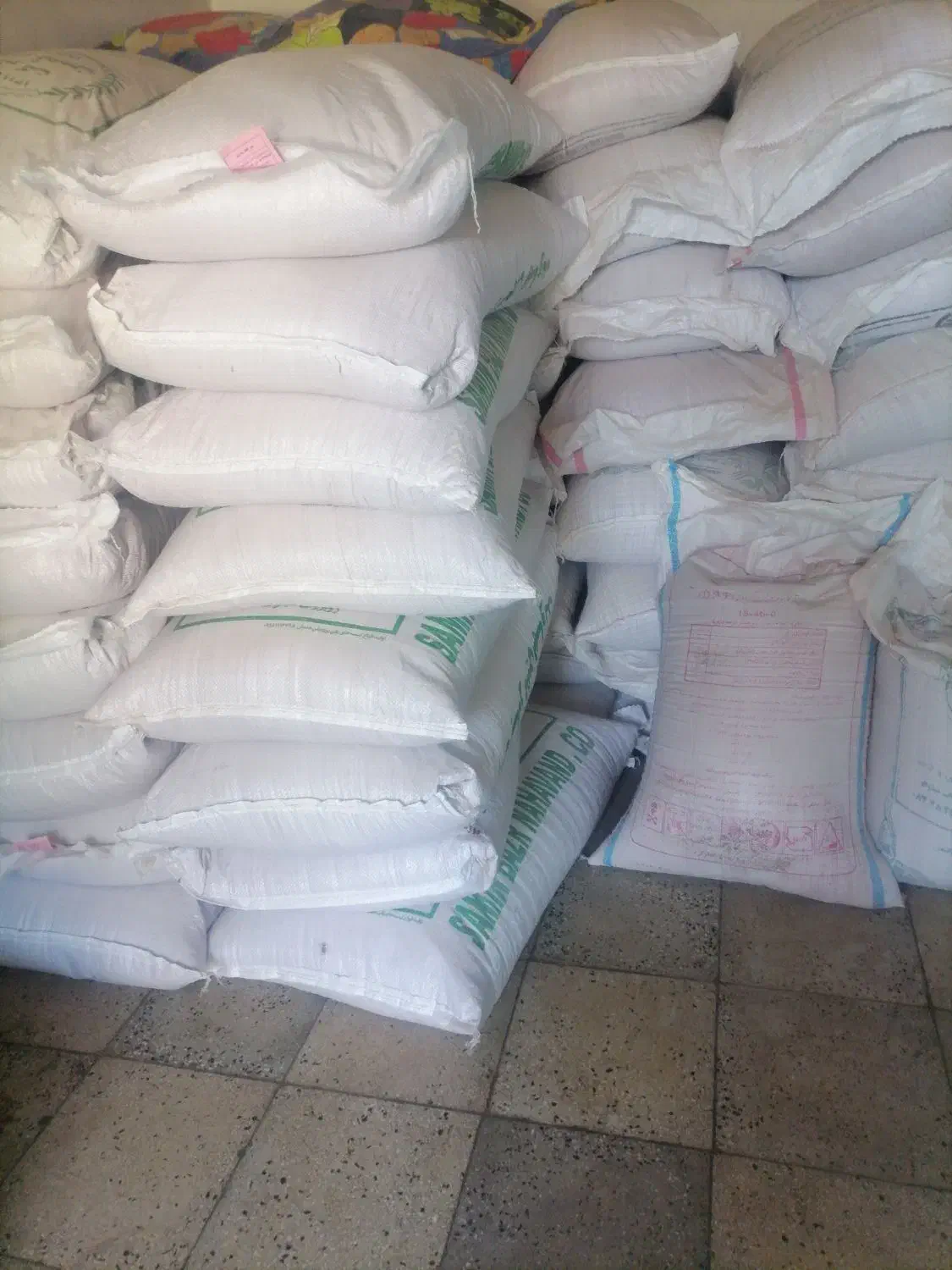 گندم بذر ترابی دانش حیدری|گل و گیاه طبیعی|دینور, |دیوار