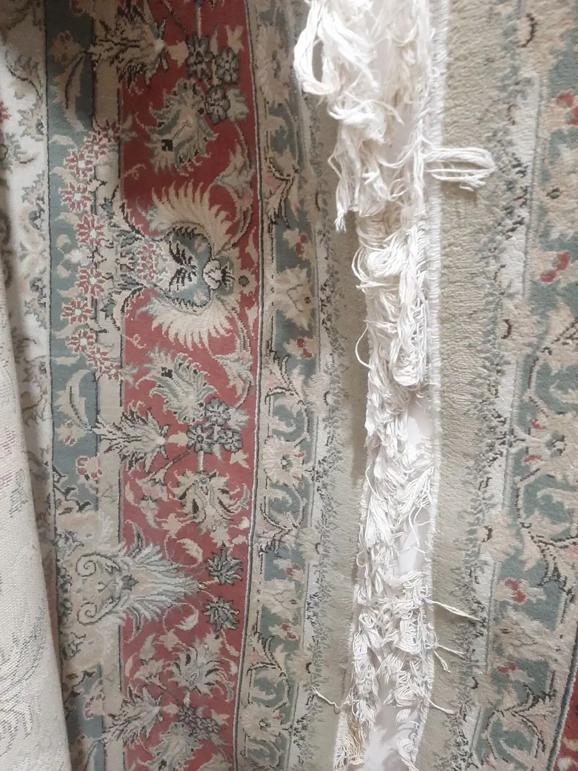 فرش|فرش|قزوین, |دیوار