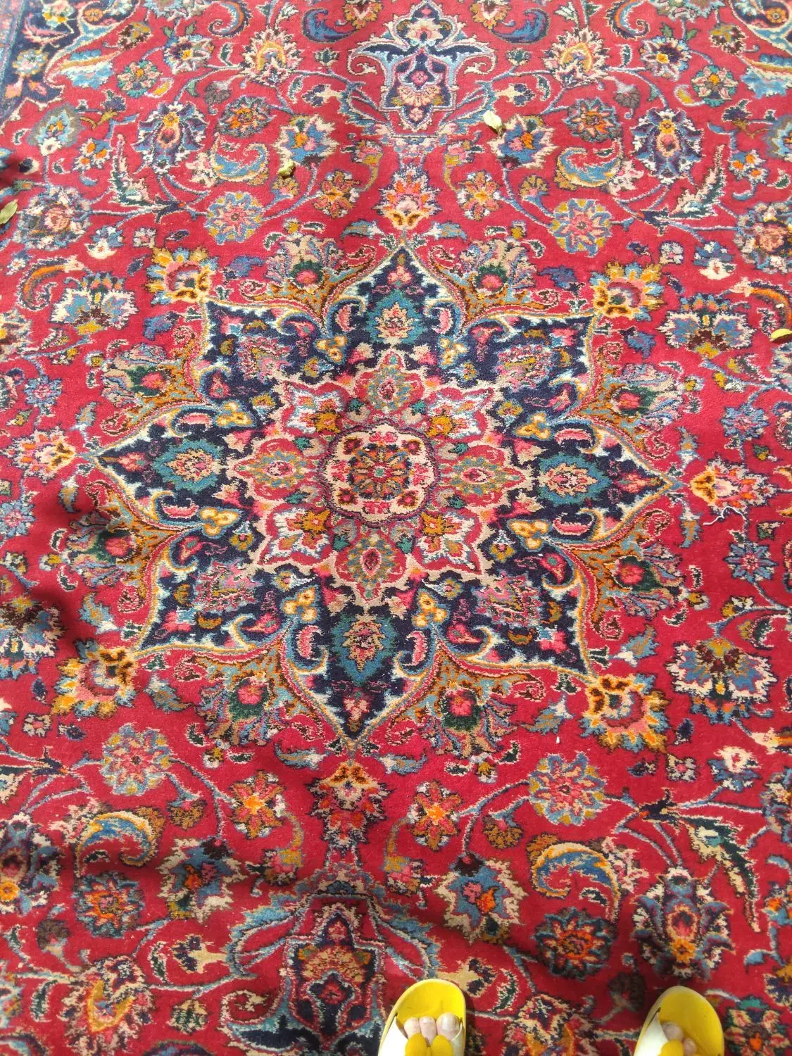 فرش دستباف کارکرده نجف‌آبادی|فرش|نطنز, |دیوار