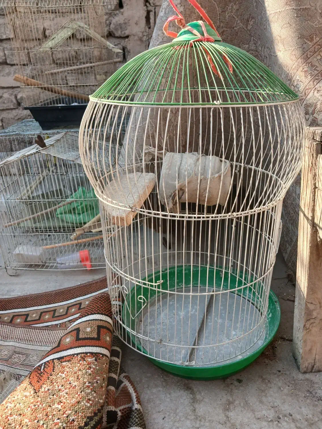 ۴عدد قفس سالم همراه وسایل|لوازم جانبی حیوانات|قم, شهرک مهدیه (مدرس)|دیوار