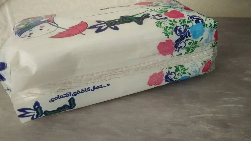 دستمال کاغذی|مواد شوینده و دستمال کاغذی|زاهدان, |دیوار