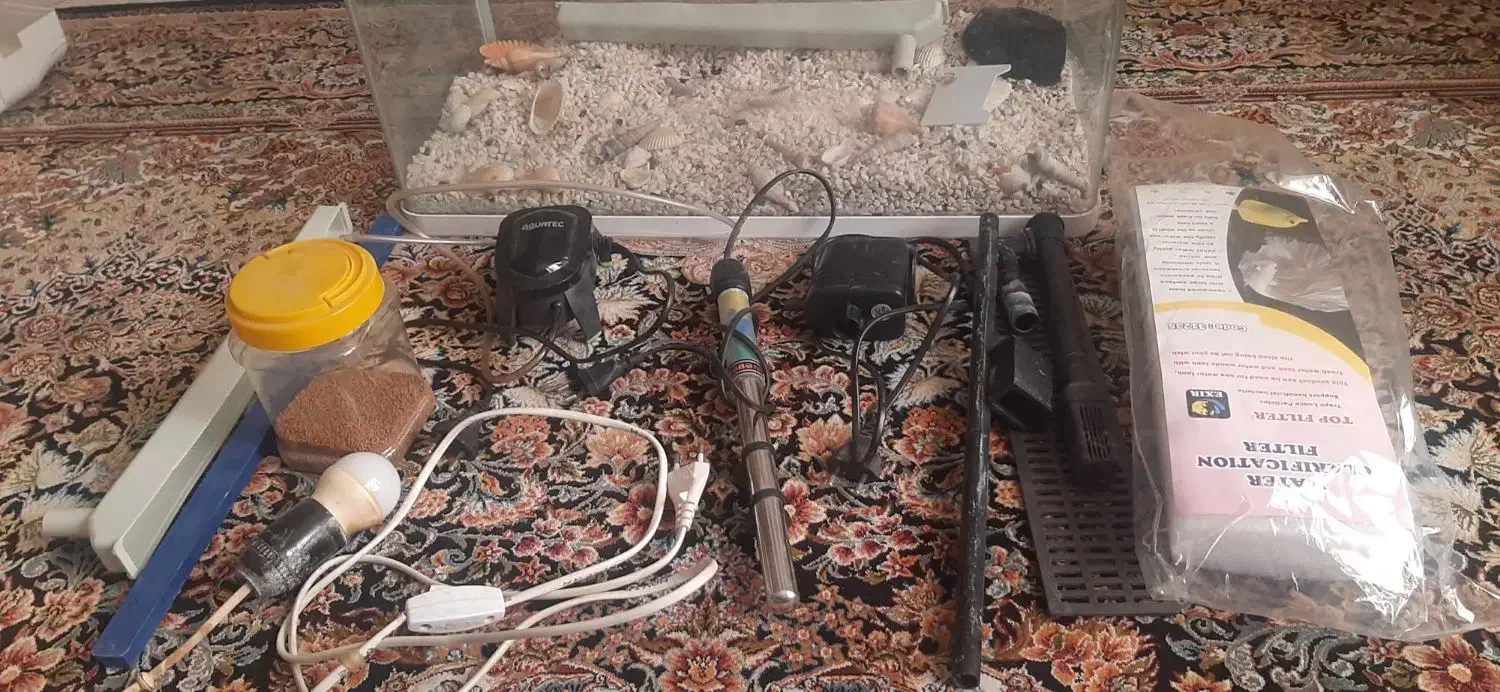 آکواریوم دلسا سفید|ماهی|پاکدشت, پاکدشت (مامازند)|دیوار