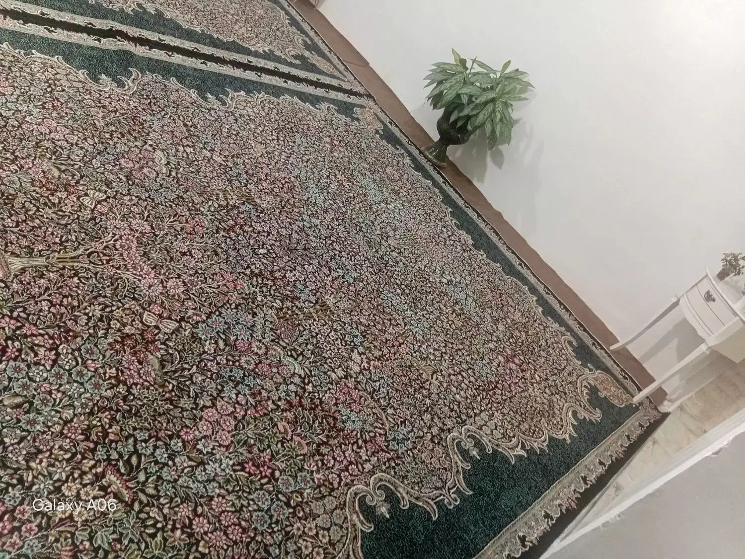 فرش ۱۲متری مایل ب معاوضعم هستم|فرش|ماهیدشت, |دیوار